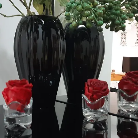 La Casa Di Vice Appartement